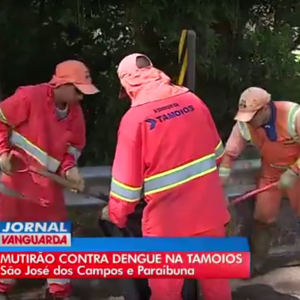 Mutirão recolheu lixo e possíveis criadouros da dengue na Tamoios