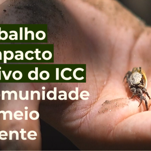Projeto Restaura Litoral promove impacto positivo na comunidade e no meio ambiente