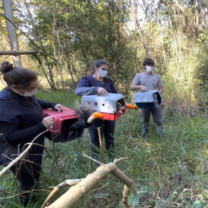 Vídeo: Univap reintroduz na natureza cinco aves silvestres