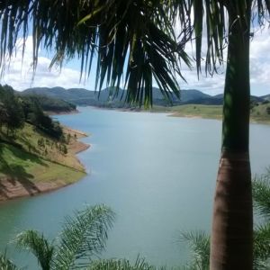 Concessionária Tamoios realiza Concurso de Fotografia Ambiental