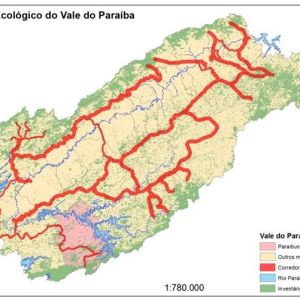 Concessionária Tamoios e Corredor Ecológico firmam parceria para a Restauração de Florestas Nativas no Vale do Paraíba