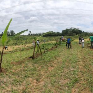 Tamoios participa de ação de regeneração florestal