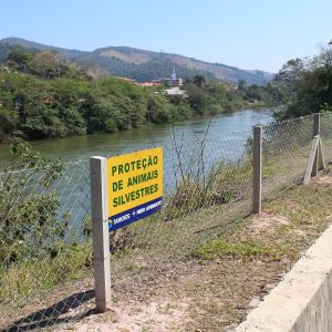 Cerca de Proteção de animais promove segurança na Tamoios