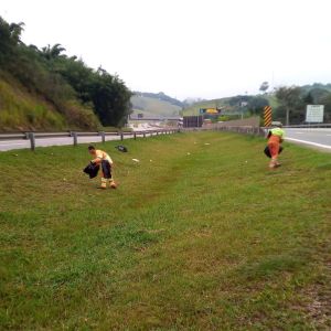 Tamoios realiza mutirão de limpeza contra a dengue na rodovia